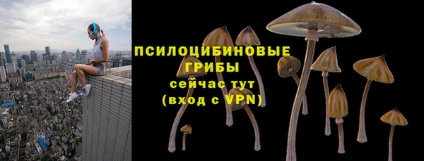 кристаллы Белокуриха